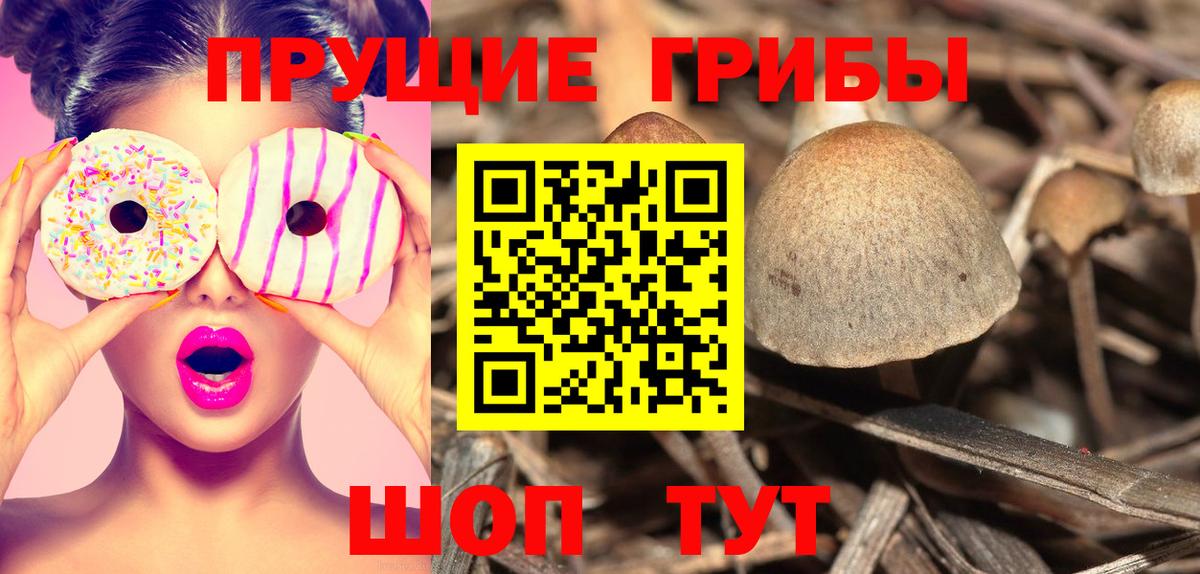 Галлюциногенные грибы мухоморы  Вход с VPN  Псилоцибиновые грибы MAGIC MUSHROOMS  Тула 